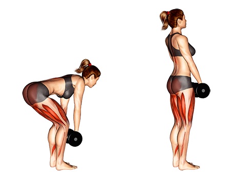 Krafttraining Fur Frauen Mit Kurzhanteln Bilder Videos