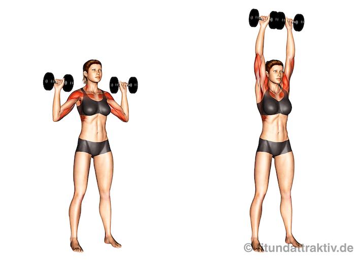 Krafttraining für Frauen mit Kurzhanteln: Bild von der Übung Schulterdrücken.