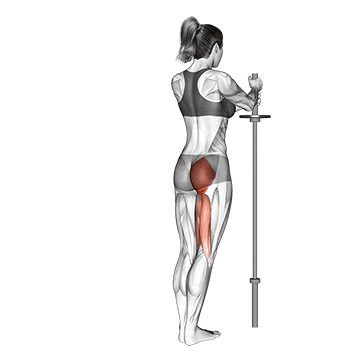 Bauch Beine Po Trainingsplan PDF: GIF von der Übung Beinheben hinten.