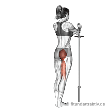 Bauch Beine Po Übungen für zuhause mit Bildern: GIF von der Übung stehendes Beinheben.