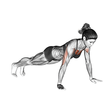 Brustmuskel Frau trainieren: GIF von der Übung Liegestütze klassisch.