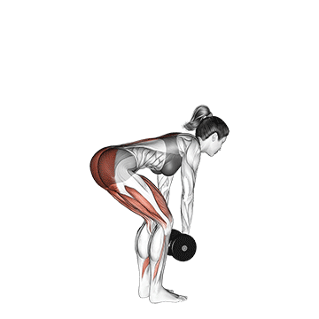 Frauen Muskelaufbau: GIF von der Übung Kreuzheben.