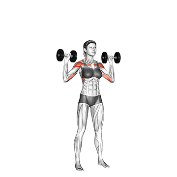 Frauen Muskelaufbau: GIF von der Übung Schulterdrücken.