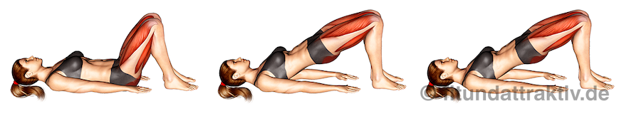 Bauch Beine Po Übungen für zuhause ohne Geräte: Bild von der Übung Beckenheben oben kurz halten.