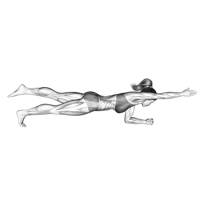 GIF von der Übung Plank Übung Bein und Arm hoch.