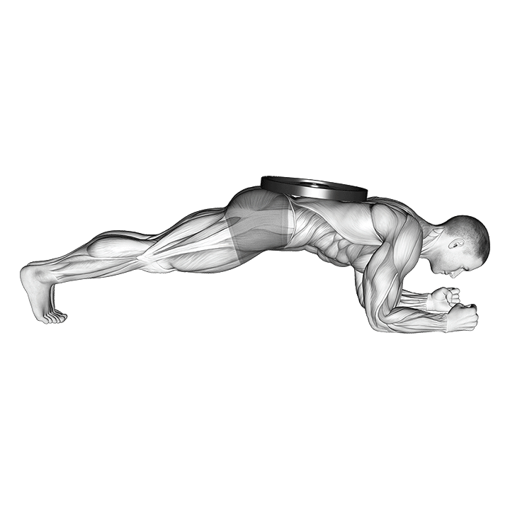 GIF von der Übung Plank Übung mit Gewicht.