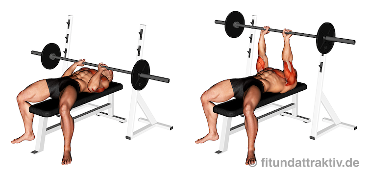 Bild von der Übung Bankdrücken flach eng mit Langhantel.