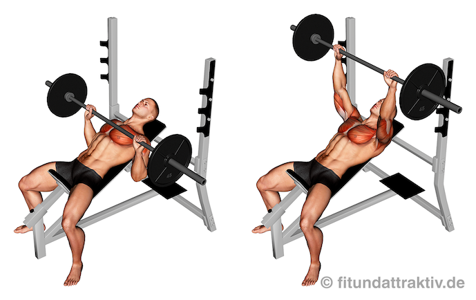 Bild von der Übung Bankdrücken schräg mit Langhantel.
