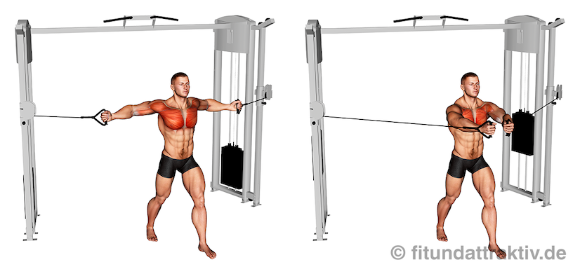 Brustmuskel trainieren Gerät: Bild von der Übung am Butterfly Kabelzug.