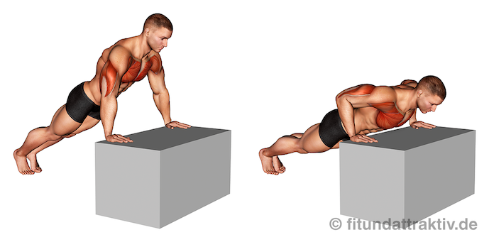 Bild von der Übung Brustmuskeln trainieren Liegestütze aufsteigend.