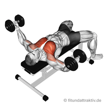 Brustübungen Anfänger: GIF von der Übung Kurzhantel Butterfly.