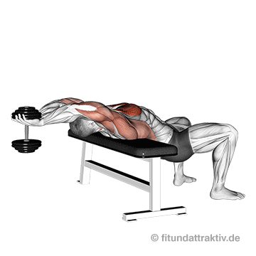 Brustübungen Anfänger: GIF von der Übung Kurzhantel Überzüge.