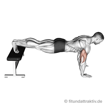 Brustübungen Anfänger: GIF von der Übung negative Liegestütze breit.