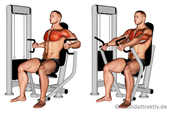 Brustübungen Gym: Bild von der Übung Bankdrücken Maschine enger Griff.