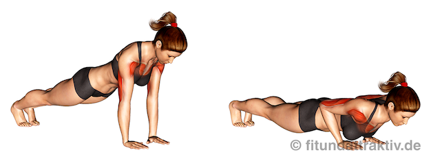 Einfache Übungen gegen Winkearme: Bild von der Übung Liegestütze eng.