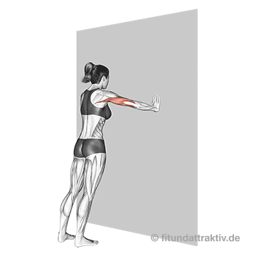 GIF von der Übung Liegestütze Frauen breit an der Wand.