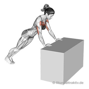 GIF von der Übung Liegestütze Frauen erhöhte Hände.