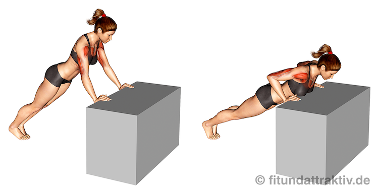 Bild von der Übung Liegestütze Frauen erhöhte Hände.