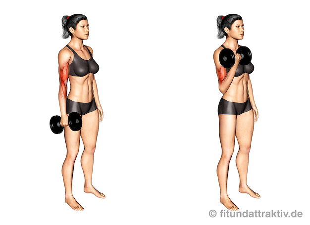 Oberarme trainieren zu Hause Frau: Bild von der Übung Bizeps Curls einarmig.