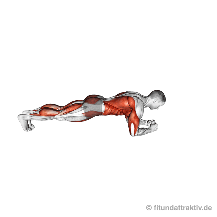 GIF von der Übung Plank mit Beinheben und Armheben.