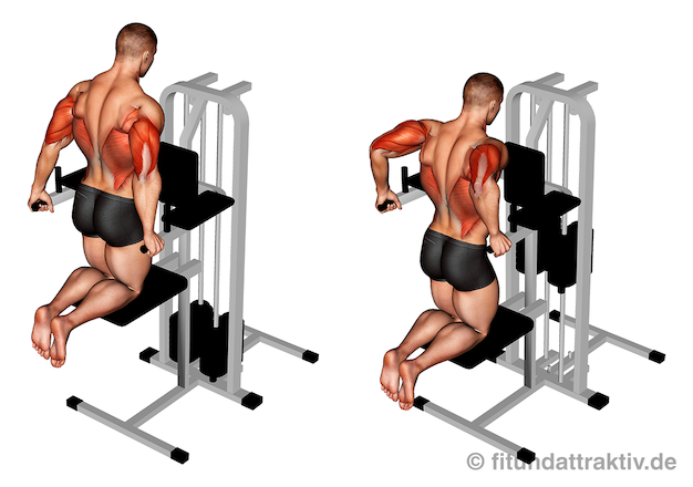 Bild von der Übung Trizeps Dips Maschine.