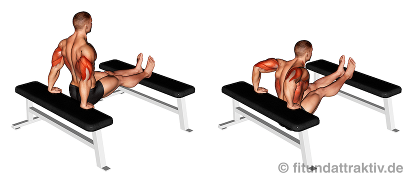 Bild von der Übung Trizeps Dips mit Bank.