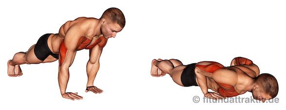 Bild von der Übung Trizeps Liegestütze.