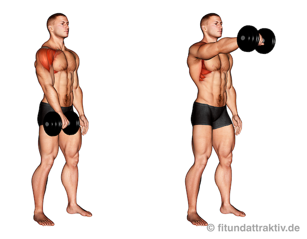 Übungen für die Schulter zuhause: Bild von der Übung Kurzhantel Frontheben einarmig.