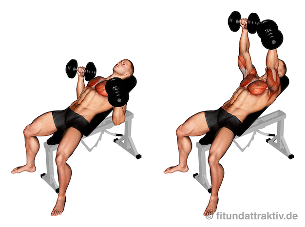 Übungen für die Schulter zuhause: Bild von der Übung Kurzhantel Schrägbankdrücken.