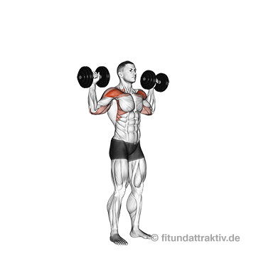 Übungen für die Schulter zuhause: GIF von der Übung Kurzhantel Schulterdrücken stehend.