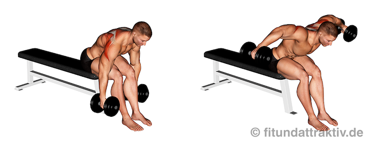 Übungen für die Schulter zuhause: Bild von der Übung Kurzhantel Seitheben vorgebeugt sitzend.