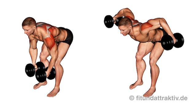 Übungen für die Schulter zuhause: Bild von der Übung Kurzhantel Seitheben vorgebeugt stehend.