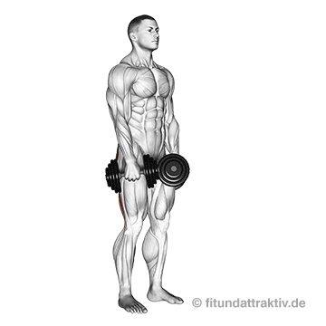 Effektivsten Oberkörper Training Übungen: GIF von der Übung gestrecktes Kreuzheben mit Kurzhanteln.