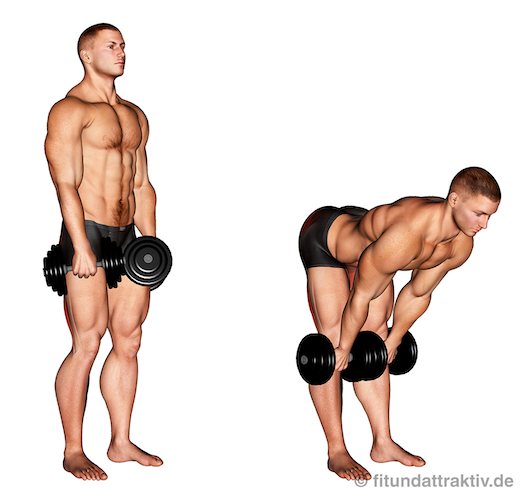 Grundübungen Krafttraining zu Hause: Bild von der Übung gestrecktes Kreuzheben mit Kurzhanteln.