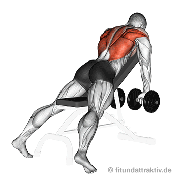 Grundübungen Krafttraining zu Hause: GIF von der Übung Rudern mit Kurzhanteln auf der Schrägbank.