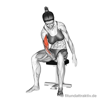 Krafttraining ohne Geräte Frauen: GIF von der Bizeps Übung ohne Hilfsmittel.