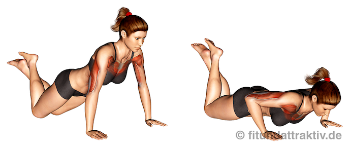 Krafttraining ohne Geräte Frauen: Bild von der Übung Liegestütze breit kniend.