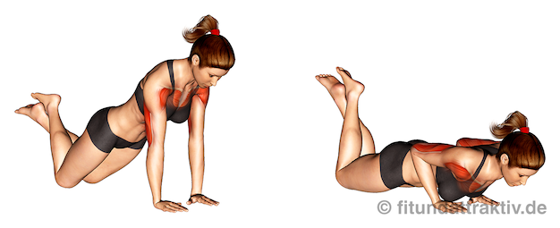Krafttraining ohne Geräte Frauen: Bild von der Übung Liegestütze eng kniend.