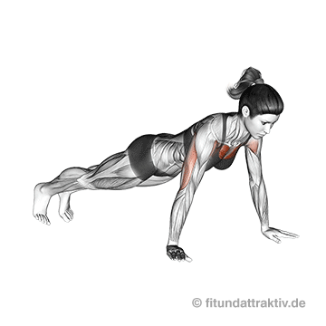 Krafttraining ohne Geräte Frauen: GIF von der Übung Liegestützen breit.