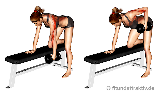 Krafttraining Ü50 Frauen: Bild von der Übung einarmiges Rudern mit Hantel.