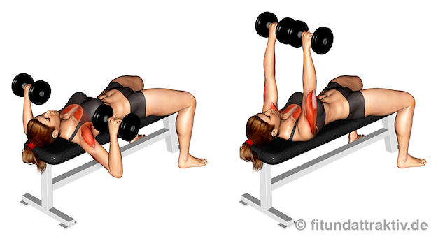 Kurzhanteltraining für Frauen ab 50: Bild von der Übung Flachbankdrücken mit Kurzhanteln.