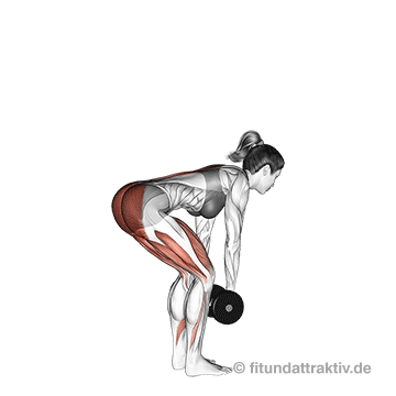 Kurzhanteltraining für Frauen ab 50: GIF von der Übung Kreuzheben mit Kurzhanteln.