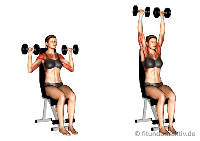 Kurzhanteltraining für Frauen ab 50: Bild von der Übung Schulterpresse mit Kurzhanteln sitzend.