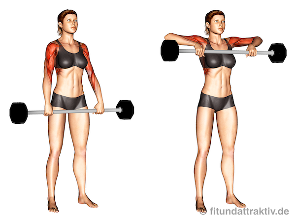 Langhantel Übungen Frauen zuhause: Bild von der Übung Frontziehen mit Langhantel.