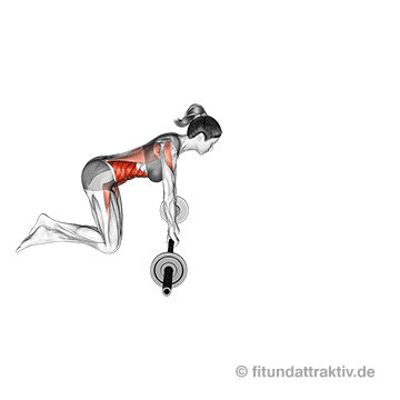 Langhantel Übungen Frauen zuhause: GIF von der Bauch Übung Langhantel Ausrollen.