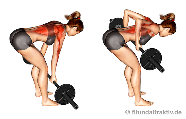 Langhantel Übungen Frauen zuhause: Bild von der Übung Rudern mit Langhantel Untergriff.