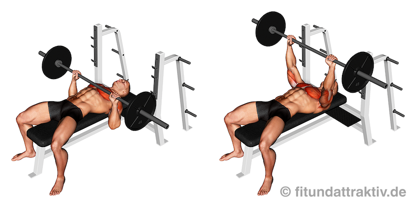 Langhantel Übungen Oberkörper: Bild von der Übung Flachbankdrückenmit Langhantel.