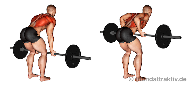 Langhantel Übungen Oberkörper: Bild von der Übung Rudern mit Langhantel Untergriff.
