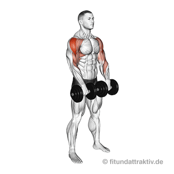 Mittlerer Schultermuskel trainieren: GIF von der Übung Kurzhantel Rudern aufrecht.