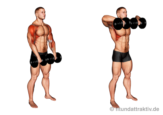 Mittlerer Schultermuskel trainieren: Bild von der Übung Kurzhantel Rudern aufrecht.